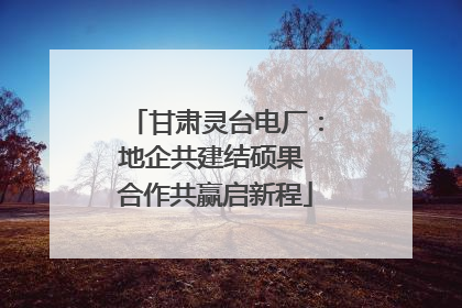 甘肃灵台电厂：地企共建结硕果 合作共赢启新程