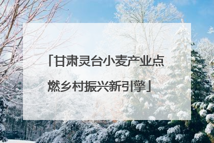 甘肃灵台小麦产业点燃乡村振兴新引擎
