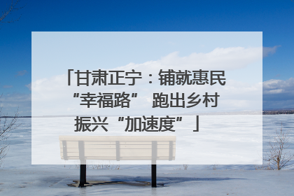甘肃正宁：铺就惠民“幸福路” 跑出乡村振兴“加速度”