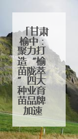 甘肃榆中：聚力打造“榆苗陇萃”四大种业育苗品牌 加速农业强县转型步伐