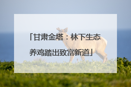 甘肃金塔：林下生态养鸡踏出致富新道