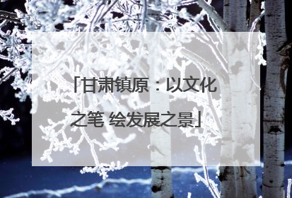 甘肃镇原：以文化之笔 绘发展之景
