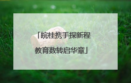 皖桂携手探新程 教育数转启华章