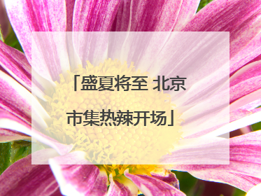 盛夏将至 北京市集热辣开场