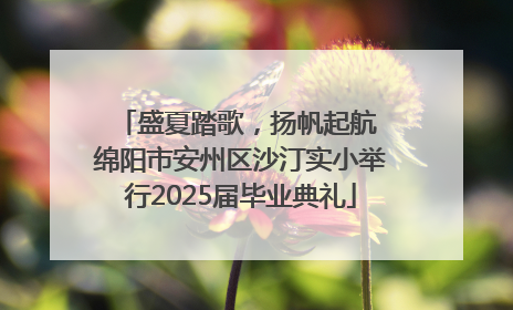 盛夏踏歌，扬帆起航 绵阳市安州区沙汀实小举行2025届毕业典礼