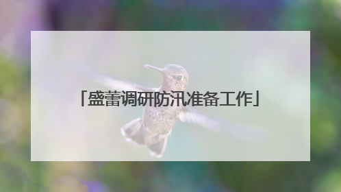 盛蕾调研防汛准备工作