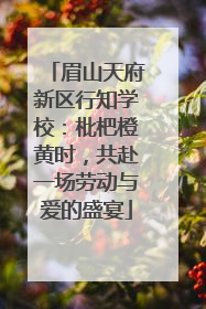 眉山天府新区行知学校：枇杷橙黄时，共赴一场劳动与爱的盛宴