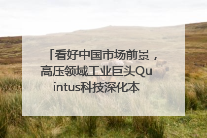 看好中国市场前景，高压领域工业巨头Quintus科技深化本土策略，构建全方位服务亚太区总部