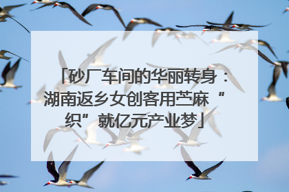 砂厂车间的华丽转身：湖南返乡女创客用苎麻“织”就亿元产业梦