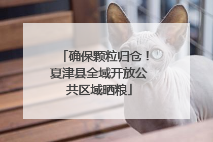 确保颗粒归仓！夏津县全域开放公共区域晒粮
