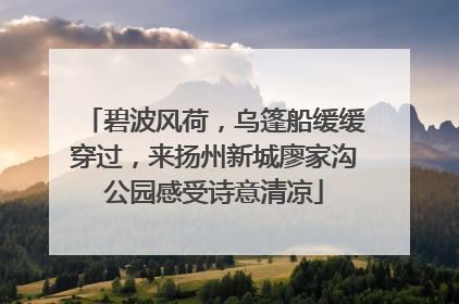 碧波风荷，乌篷船缓缓穿过，来扬州新城廖家沟公园感受诗意清凉