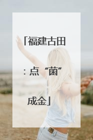 福建古田：点“菌”成金