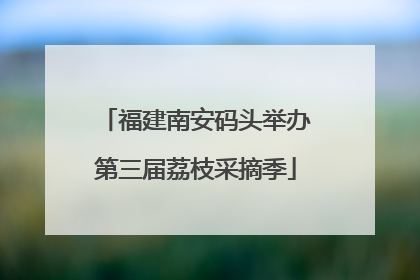 福建南安码头举办第三届荔枝采摘季