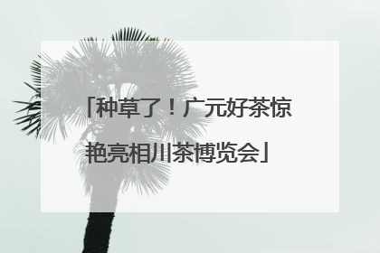 种草了！广元好茶惊艳亮相川茶博览会