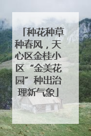 种花种草种春风，天心区金桂小区“金美花园”种出治理新气象