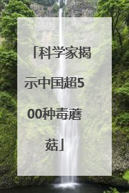 科学家揭示中国超500种毒蘑菇