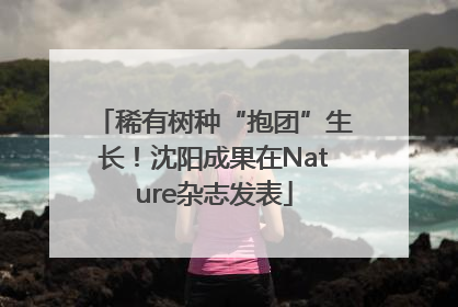 稀有树种“抱团”生长！沈阳成果在Nature杂志发表