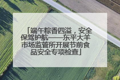 端午粽香四溢，安全保驾护航——东平大羊市场监管所开展节前食品安全专项检查