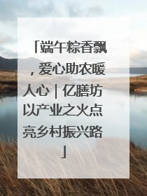 端午粽香飘，爱心助农暖人心｜亿膳坊以产业之火点亮乡村振兴路