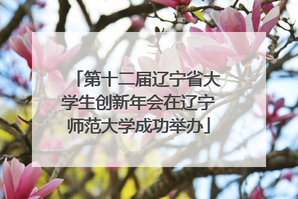 第十二届辽宁省大学生创新年会在辽宁师范大学成功举办