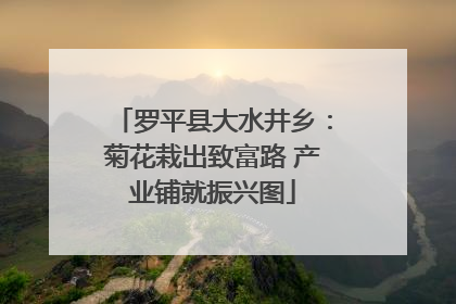 罗平县大水井乡：菊花栽出致富路 产业铺就振兴图