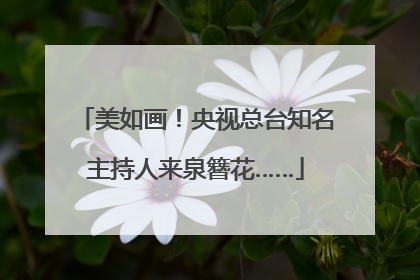 美如画！央视总台知名主持人来泉簪花……