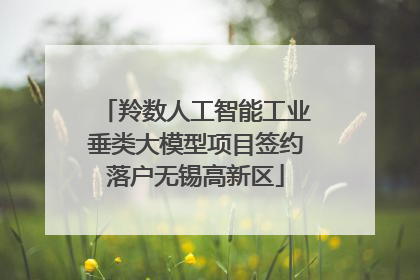 羚数人工智能工业垂类大模型项目签约落户无锡高新区