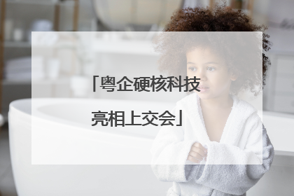 粤企硬核科技亮相上交会
