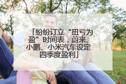纷纷订立“扭亏为盈”时间表，蔚来、小鹏、小米汽车设定四季度盈利