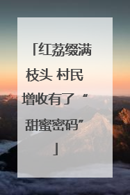 红荔缀满枝头 村民增收有了“甜蜜密码”