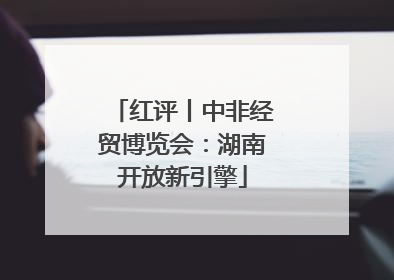红评丨中非经贸博览会：湖南开放新引擎