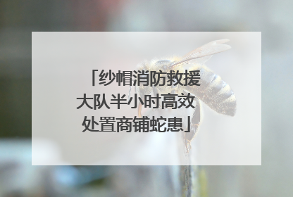 纱帽消防救援大队半小时高效处置商铺蛇患
