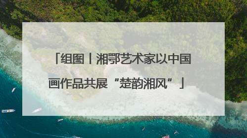 组图丨湘鄂艺术家以中国画作品共展“楚韵湘风”