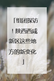 组团探访！陕西西咸新区这些地方的新变化