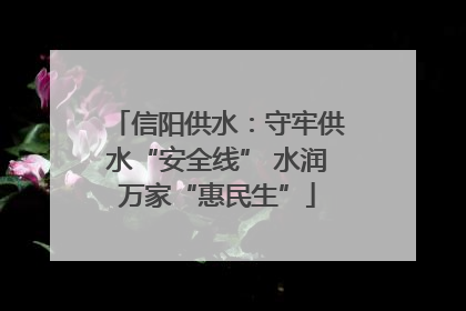 信阳供水：守牢供水“安全线” 水润万家“惠民生”