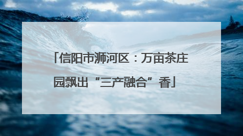 信阳市浉河区：万亩茶庄园飘出“三产融合”香