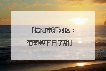 信阳市浉河区：葡萄架下日子甜