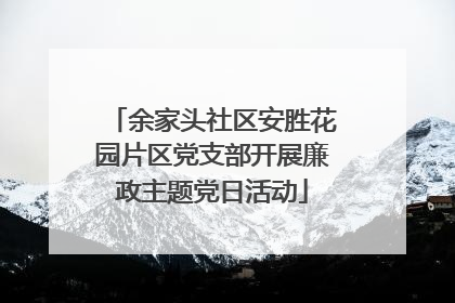 余家头社区安胜花园片区党支部开展廉政主题党日活动