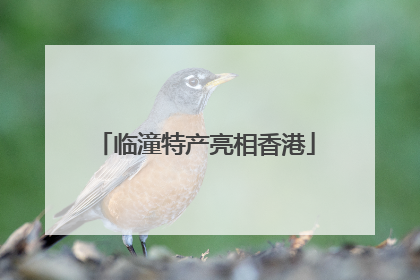 临潼特产亮相香港