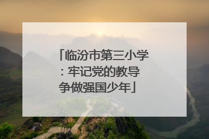 临汾市第三小学：牢记党的教导 争做强国少年