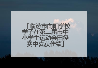 临汾市向阳学校学子在第二届市中小学生运动会田径赛中喜获佳绩
