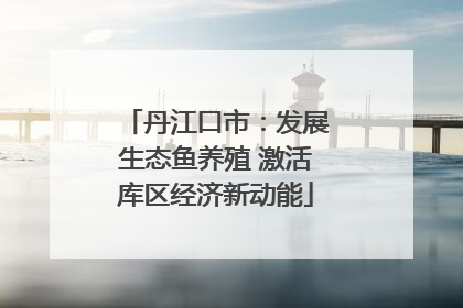 丹江口市：发展生态鱼养殖 激活库区经济新动能