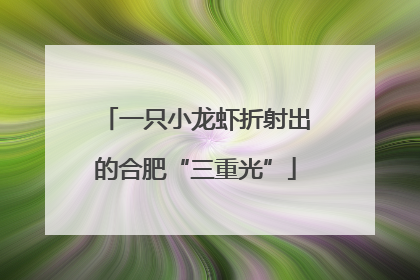 一只小龙虾折射出的合肥“三重光”