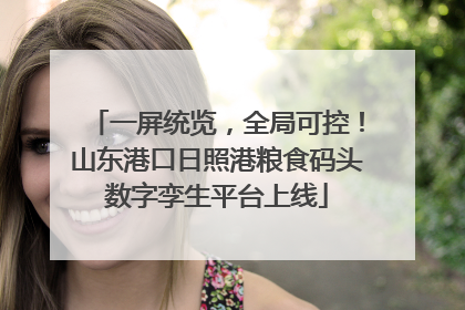 一屏统览,全局可控!山东港口日照港粮食码头数字孪生平台上线