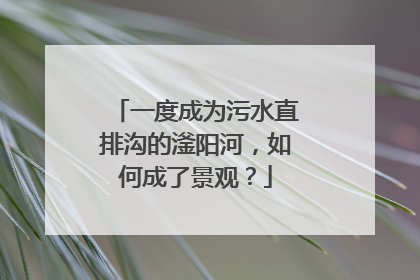 一度成为污水直排沟的滏阳河，如何成了景观？