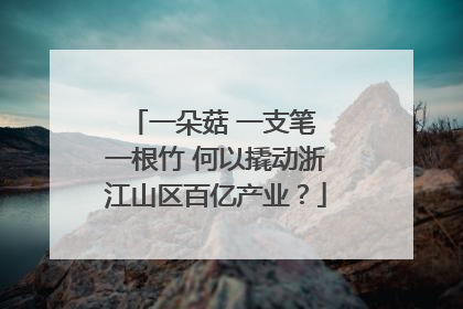 一朵菇 一支笔 一根竹 何以撬动浙江山区百亿产业？