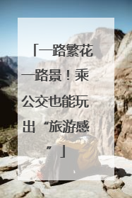 一路繁花一路景！乘公交也能玩出“旅游感”