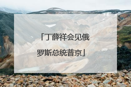 丁薛祥会见俄罗斯总统普京