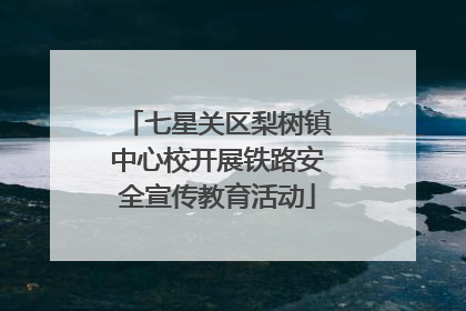 七星关区梨树镇中心校开展铁路安全宣传教育活动
