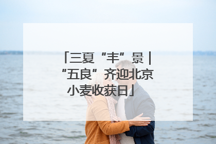 三夏“丰”景｜“五良”齐迎北京小麦收获日